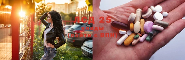 PSILOCYBIN Богородицк