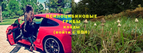 ПСИЛОЦИБИНОВЫЕ ГРИБЫ Богородск