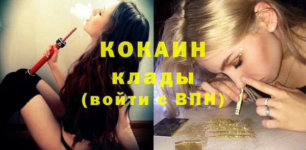 PSILOCYBIN Богородицк